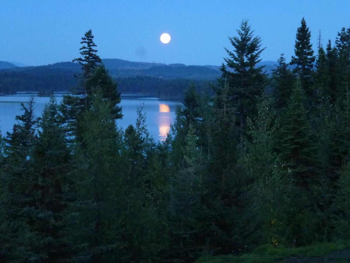 Little Black Bear Lodge/B&B Bridge Lake ภายนอก รูปภาพ