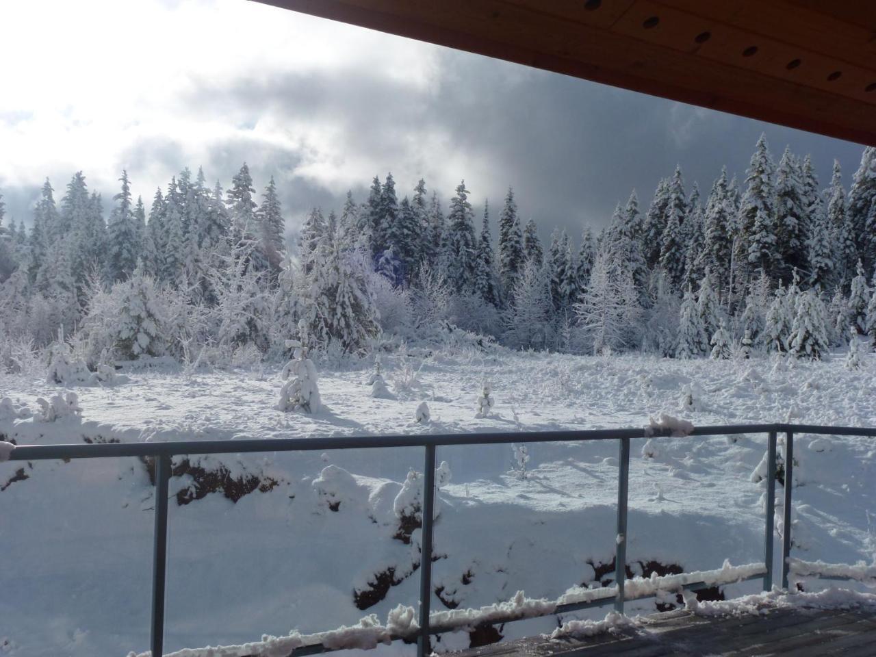 Little Black Bear Lodge/B&B Bridge Lake ภายนอก รูปภาพ