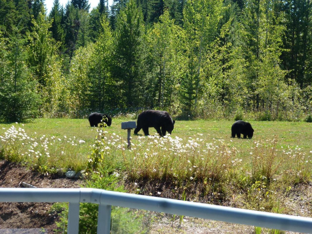 Little Black Bear Lodge/B&B Bridge Lake ภายนอก รูปภาพ