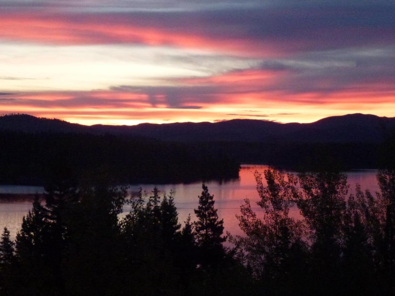 Little Black Bear Lodge/B&B Bridge Lake ภายนอก รูปภาพ