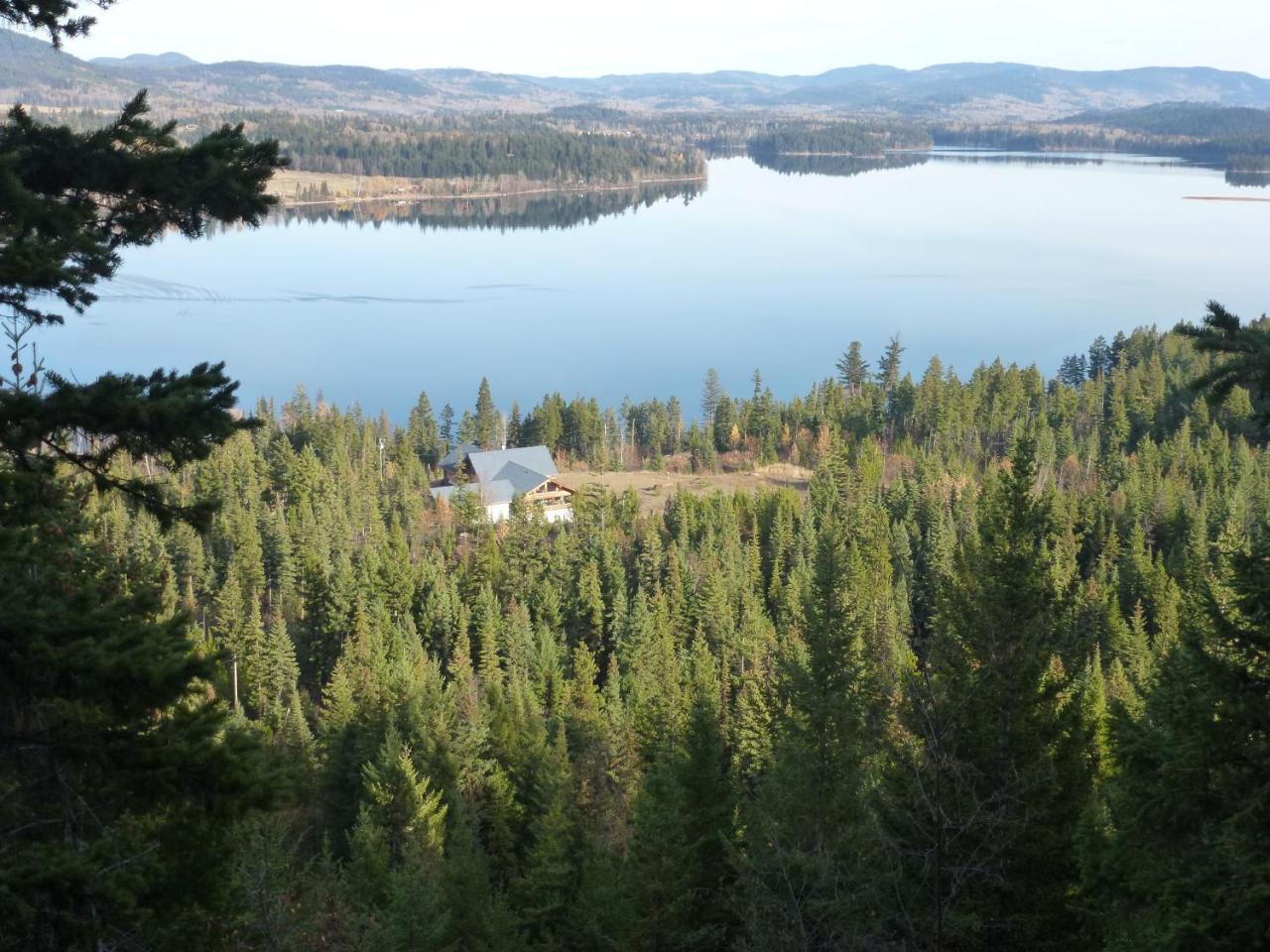Little Black Bear Lodge/B&B Bridge Lake ภายนอก รูปภาพ